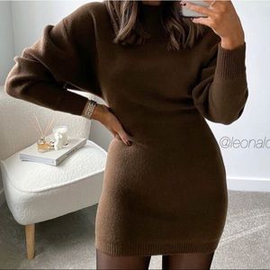 Zara Voluminous Knit Dress (NWT)